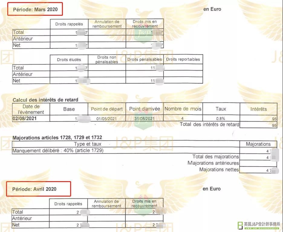 法国税局的欠缴税金及罚金明细