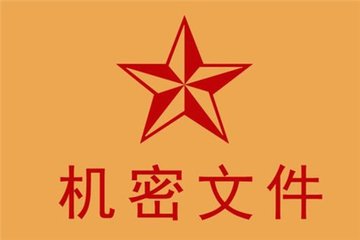 C79文件：VAT申报的重要文件