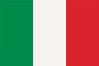 意大利VAT申报
