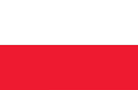 波兰VAT申报